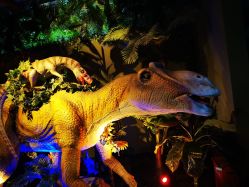 -恐龙探索乐园(磁器口店)