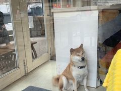 -餐酒吧Com-ing Bar(上海路店)