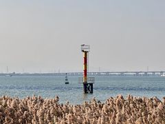 -芒洲湿地公园