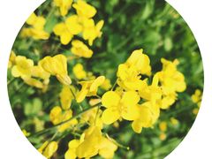 -艾溪湖湿地公园