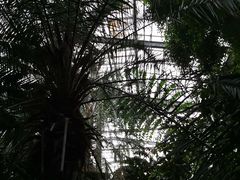 -呀路古热带植物园