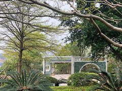 -广州国际生物岛山地公园揽胜园