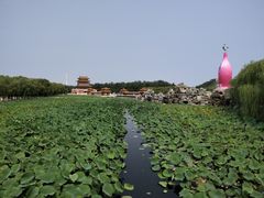 -南戴河国际娱乐中心