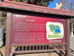 -大兴滨河森林公园