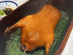 -鹿园 MOOSE(长宁店)