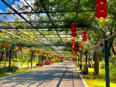 -东平国家森林公园