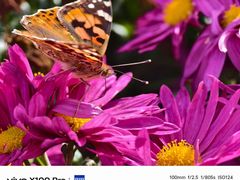 -北京植物园-展览温室