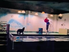 -嘉兴海底世界