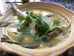 昂刺鱼豆腐汤-75幢私房菜馆