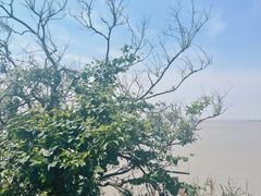 -洋山深水港观景平台