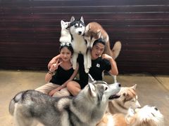 -TrueLove @ Neverland (Husky Cafe)