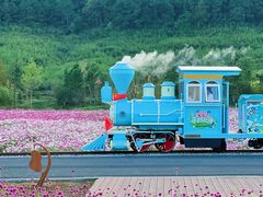 -径山花海