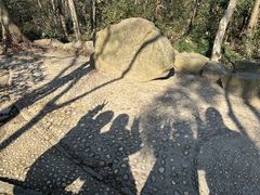 -上海佘山国家森林公园天马山园