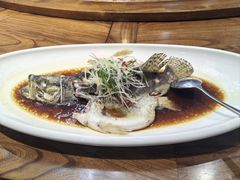 清蒸桂鱼-醉霖生态餐厅(交大店)