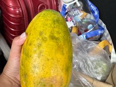 -西双版纳集贸市场