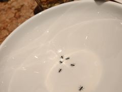 -唐宫小聚(荃湾荃新天地店)