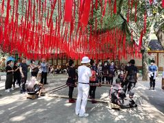 -西双版纳原始森林公园