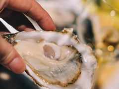 -Oyster Talks 四度蚝法餐厅