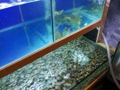 -碳说品道.瓦片烤肉.海鲜烧烤(中华路店)