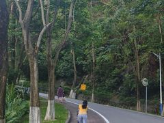 -火炉山森林公园