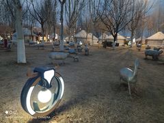 -九十九顶毡房(阜石路店)