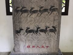 -上海醉白池公园