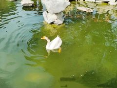-龙华寺