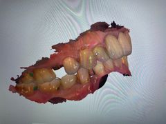 -上海市东方医院(总院)