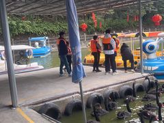 -广东茂名森林公园