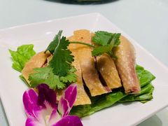 苏北草鸡-瑞福园联谊餐室(茂名南路店)