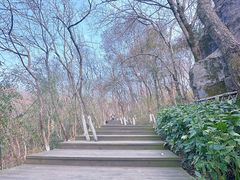 -天目湖山水园