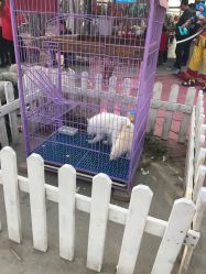 -上美四季动物农场