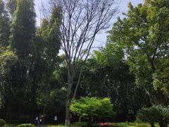 -望江楼公园