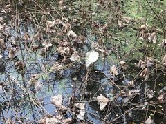 -四川大学(华西校区)