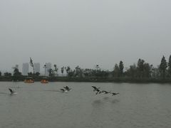 -艾溪湖湿地公园