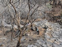 -北京鹫峰国家森林公园