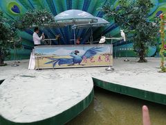 -灵玲国际马戏城