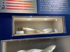 -辽宁古生物博物馆