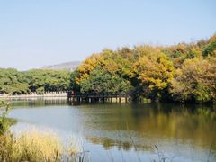 -白马涧龙池景区
