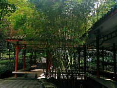 -龙头寺公园