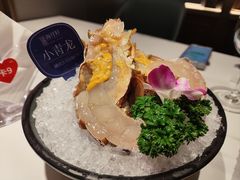 -海月轩海鲜豆捞(紫金塔店)