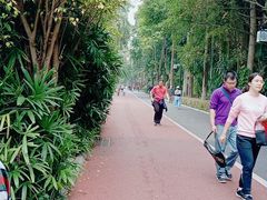 -南宁南湖公园