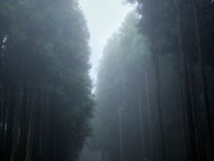 -山王坪喀斯特国家生态公园