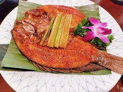 -紫滇源云南生态菜(丹凤街店)