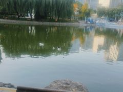 -团结湖公园
