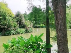-海珠湖公园