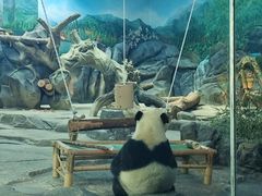 -武汉动物园