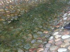 android_upload_pic-石家庄市动物园