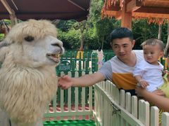 -无锡动物园·太湖欢乐园