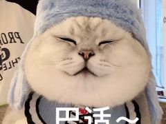 -霸王茶姬(大连万象汇店)